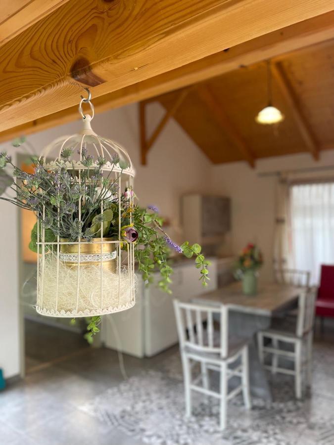 Ibolya Apartman Csisztapuszta Eksteriør bilde
